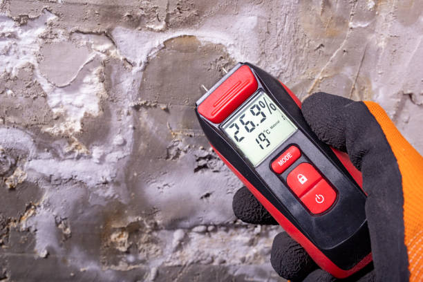 Best Attic Mold Removal  in Pine Grove Mills, PA