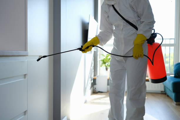 Best Mold Cleaning Services  in Pine Grove Mills, PA