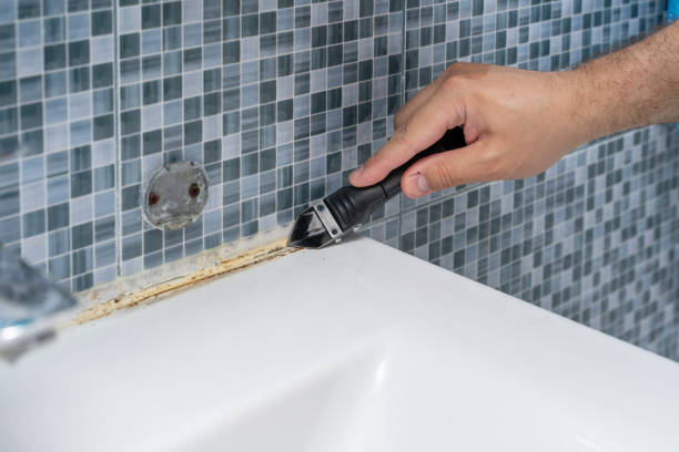 Best Mold Damage Repair  in Pine Grove Mills, PA