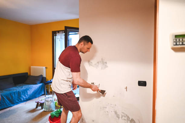 Best Emergency Mold Removal  in Pine Grove Mills, PA